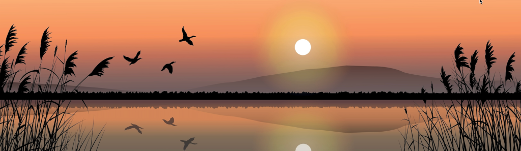 beautiful orange sunset with birds and water 